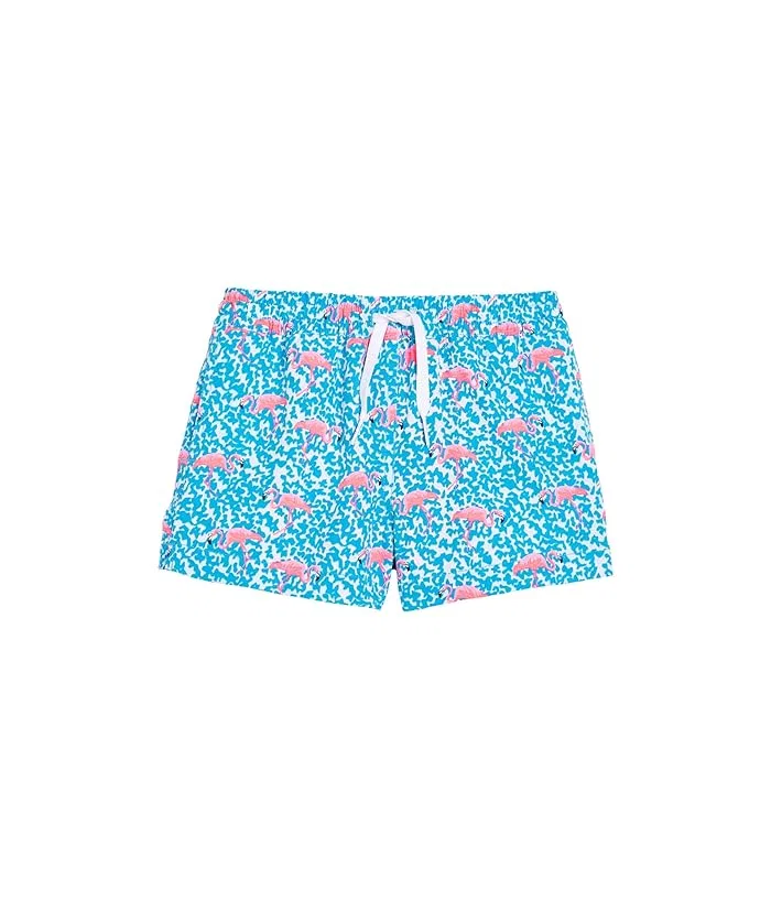 Плавки для мальчиков The Domingos Are For Flamingos с фламинго Chubbies Kids, Bright Blue/Pattern Base