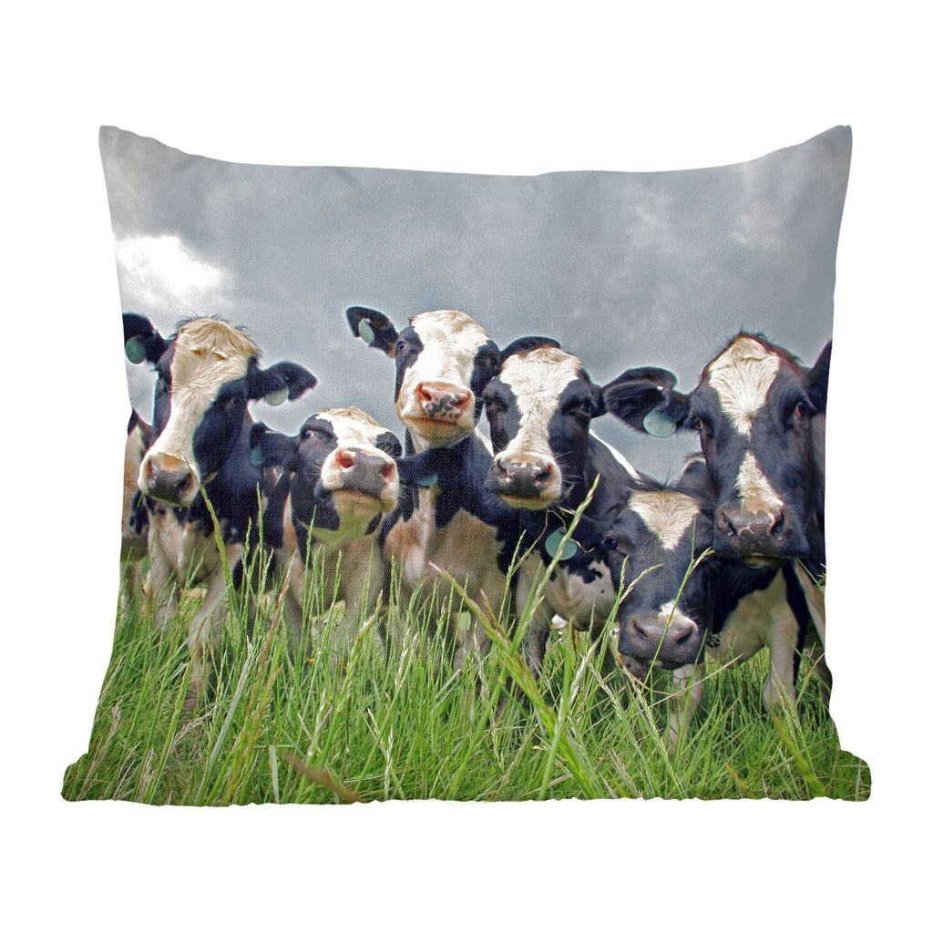 

MuchoWow Friesian Cow - Серый воздух над стадом Friesian Cows - 45x45 см - Чехлы на подушки - Декоративные наволочки - Декоративные наволочки