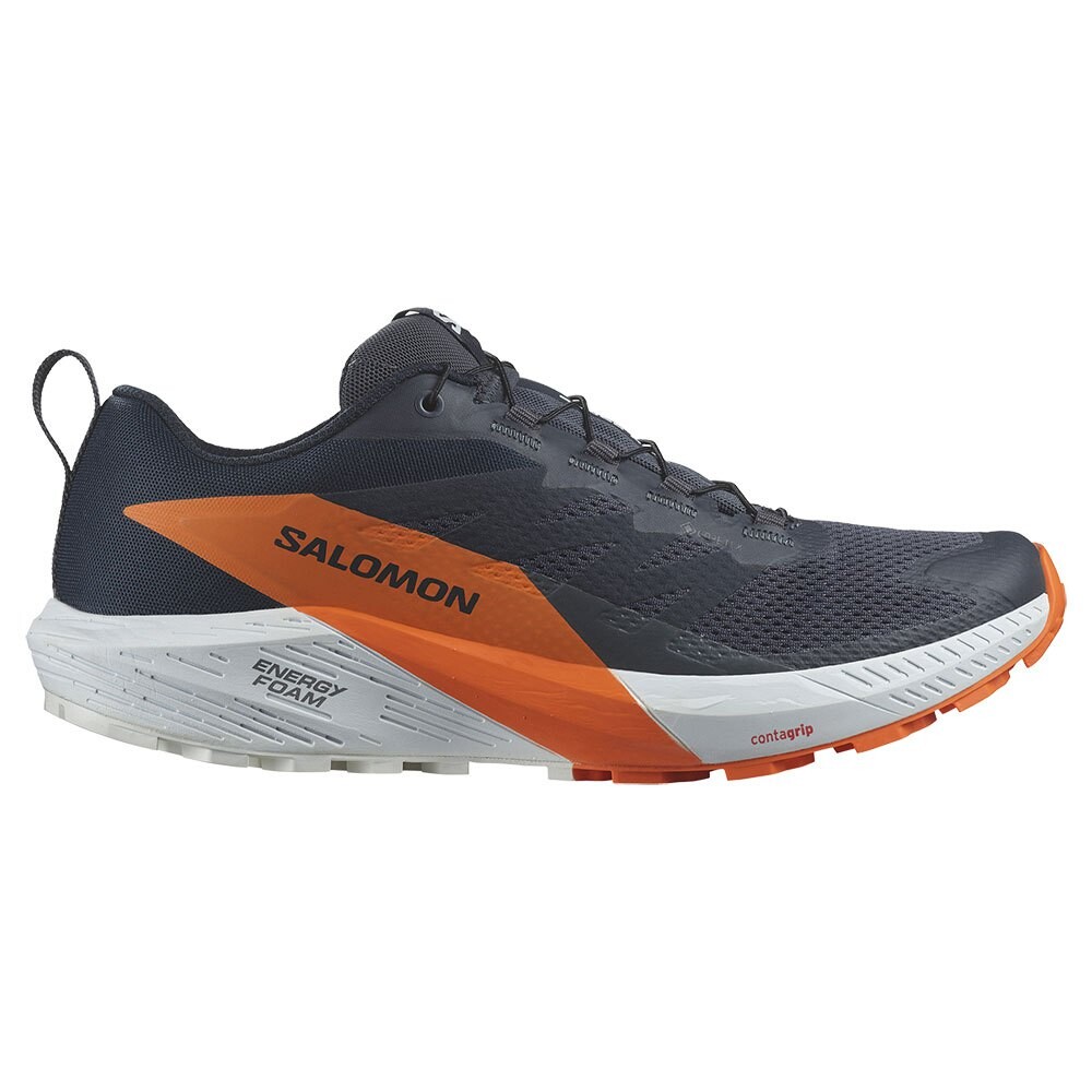 

Кроссовки Salomon Sense Ride 5 Goretex trail, синий