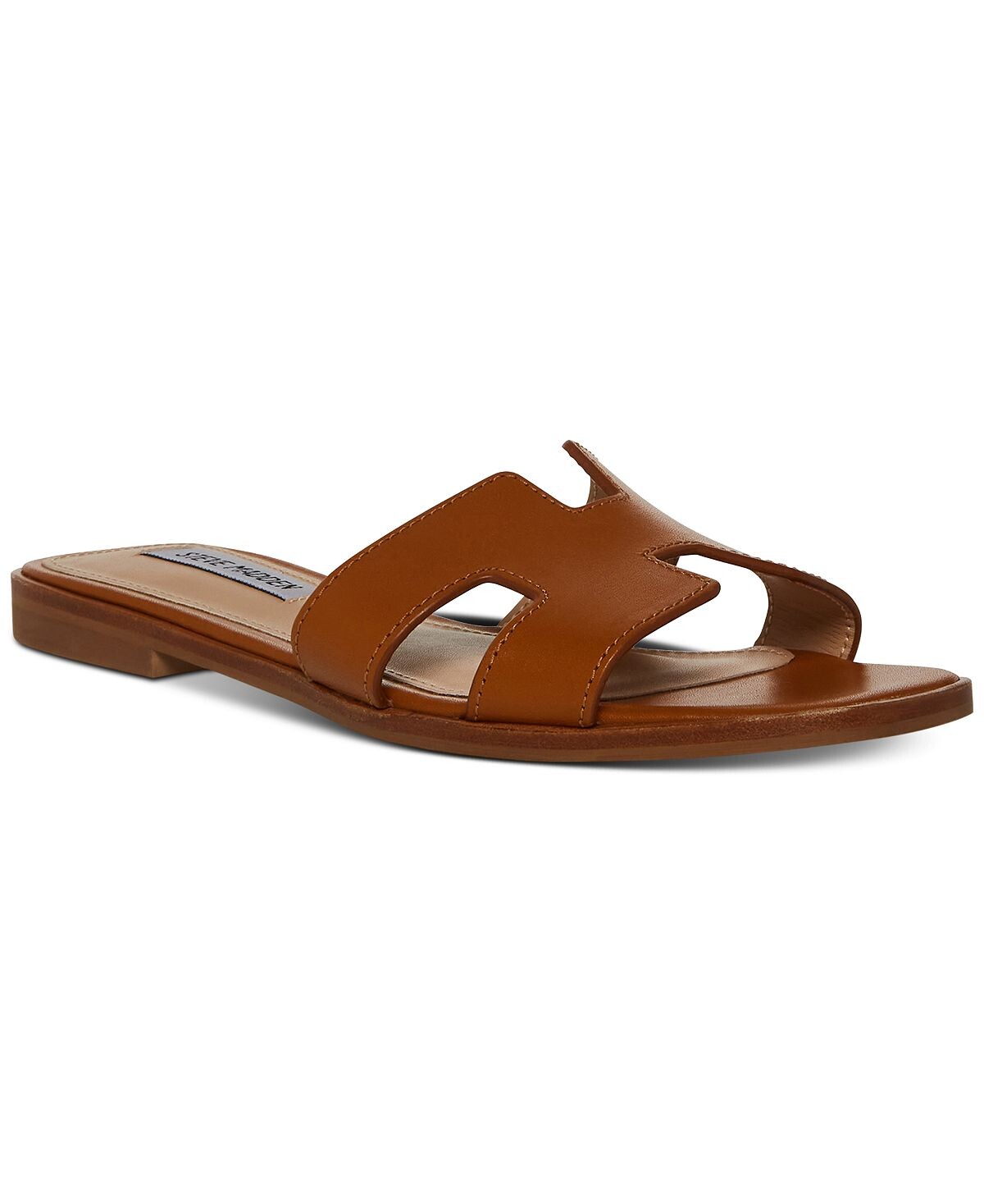 Женские шлепанцы Haydn Steve Madden