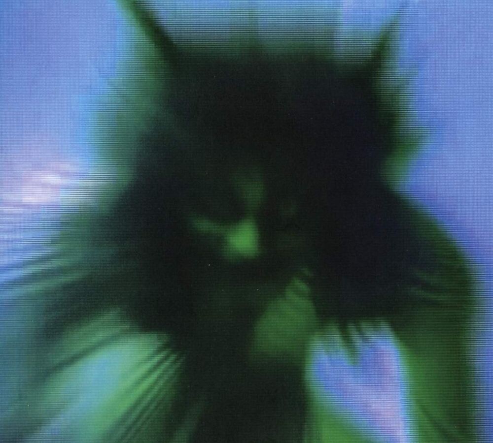 

Виниловая пластинка LP Safe In The Hands Of Love - Yves Tumor