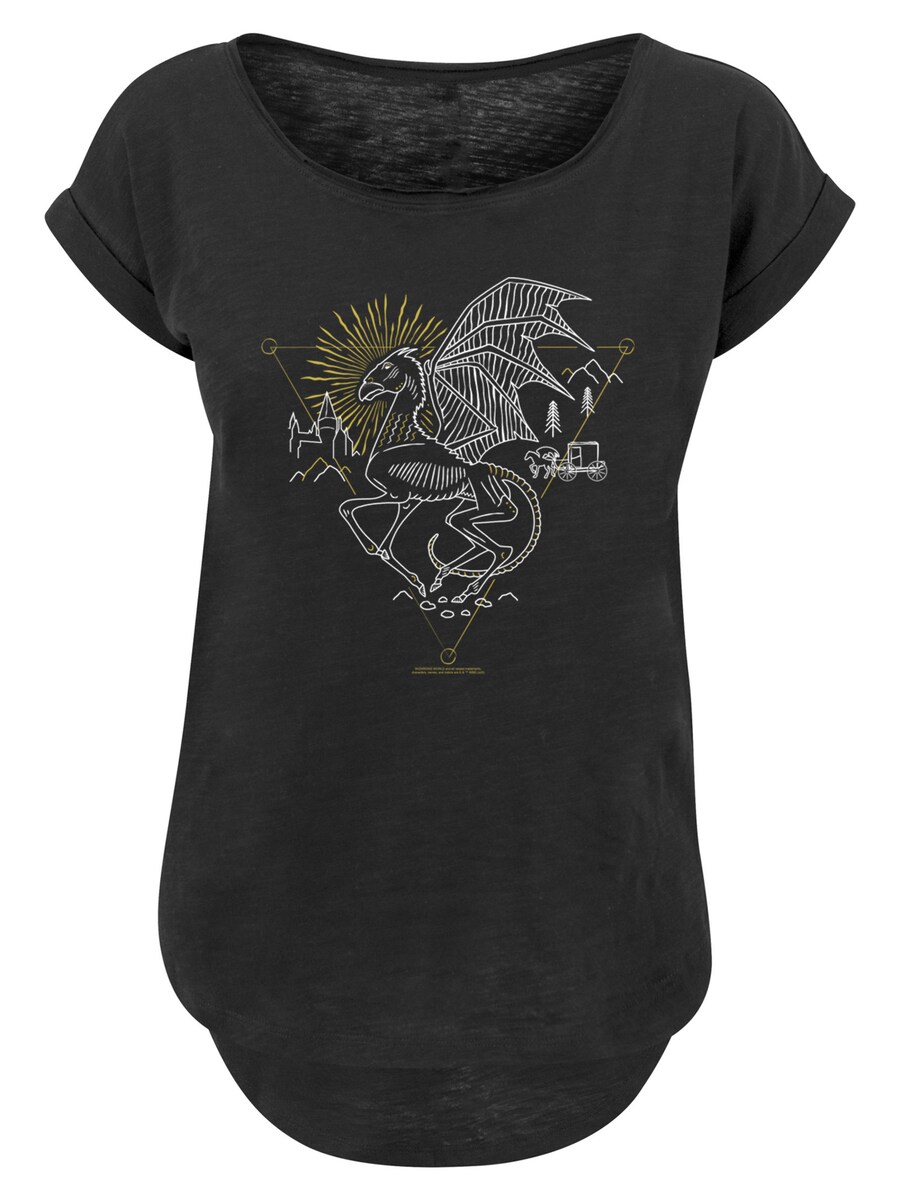 

Рубашка F4NT4STIC Harry Potter Thestral, черный