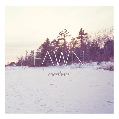 

CD диск FAWN: Coastlines