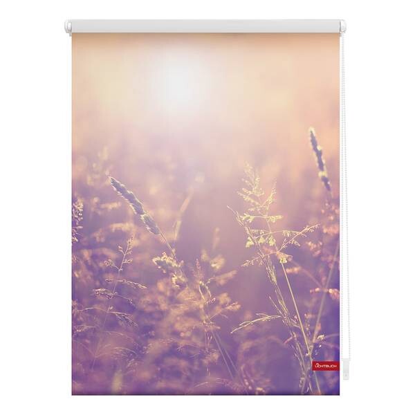 

Рулонные шторы Lichtblick Sommerabend, 100x150x6 см, оранжевый