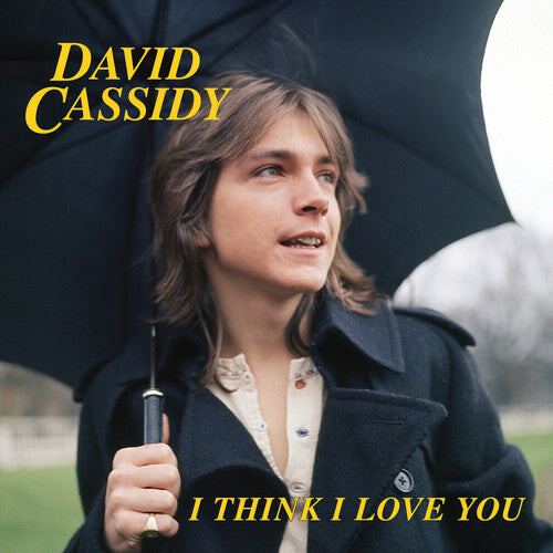 

Сингл 7" Cassidy, David: I Think I Love You