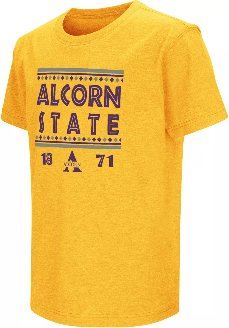 

Молодежная футболка Colosseum Alcorn State Braves Gold Playbook