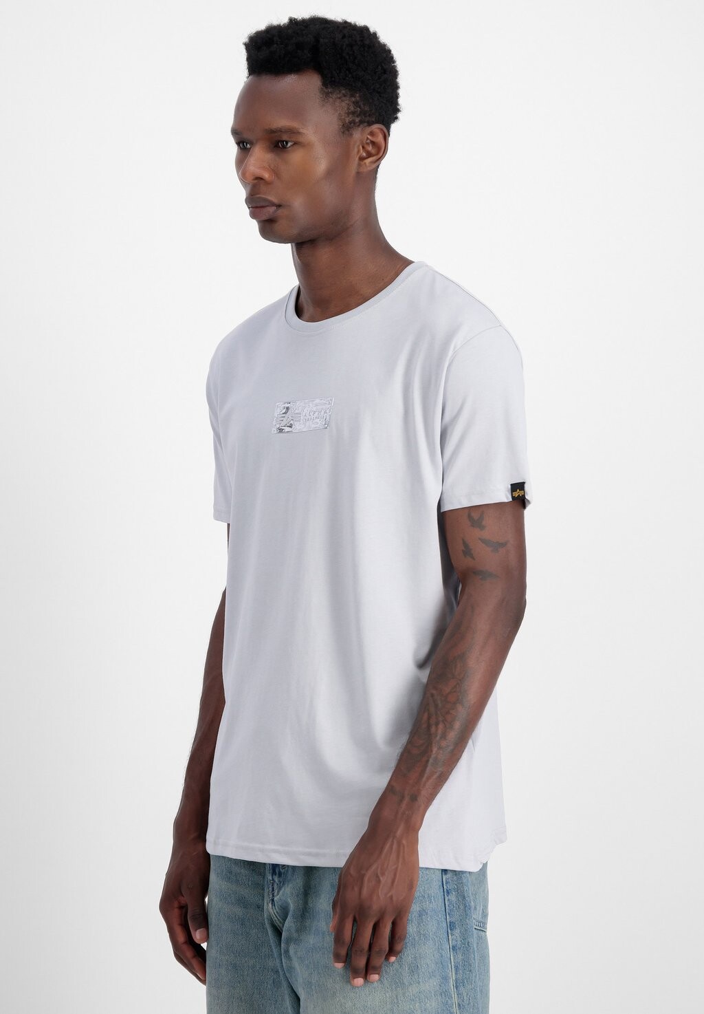 

Футболка с принтом PLATE Alpha Industries, серый