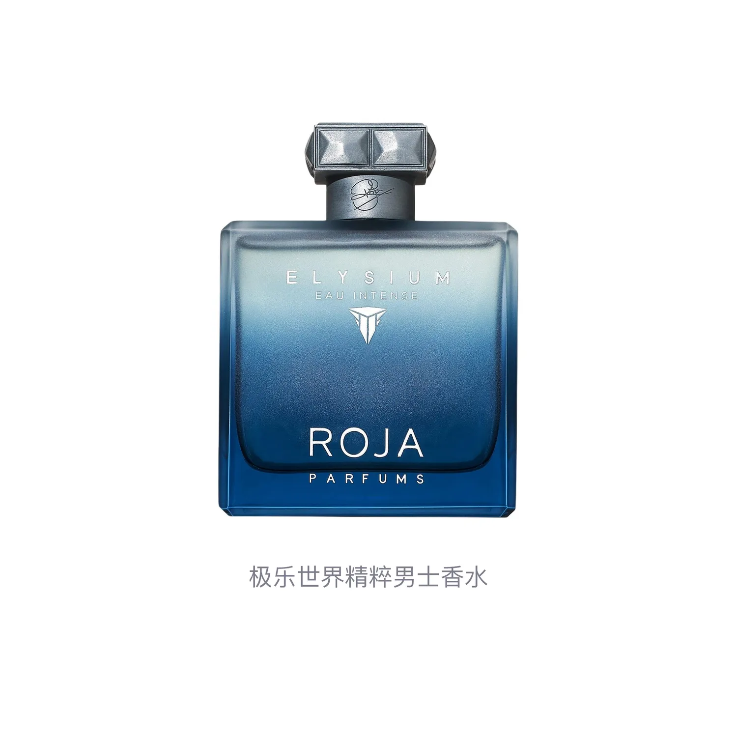 ROJA Bliss World Exquisite Men's Perfumes Fougere Eau De Parfum EDP 100ml Bergamot Grapefruit — фото 2