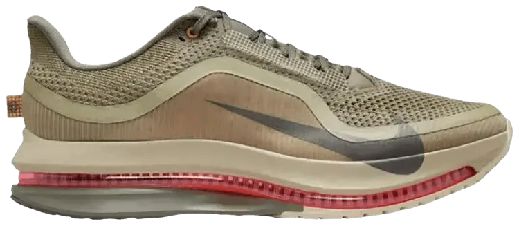 

Кроссовки Nike Pegasus Premium, мультиколор