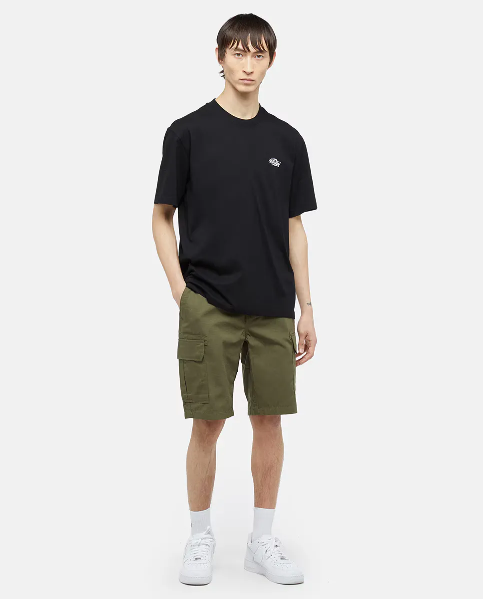 

Мужские спортивные шорты Dickies, зеленый