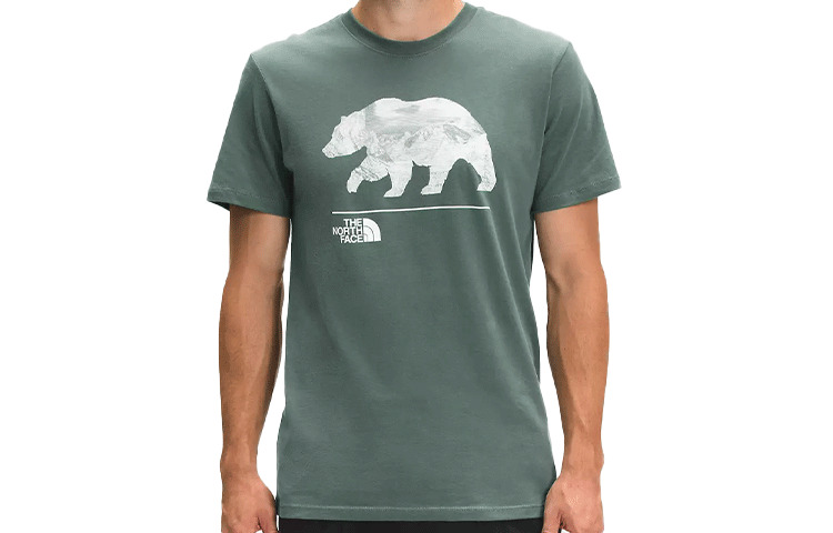 

Футболка мужская зеленая The North Face, зеленый