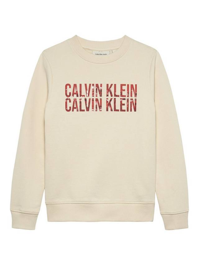 

Детский хлопковый свитшот с логотипом Calvin Klein, Whitecap Gray