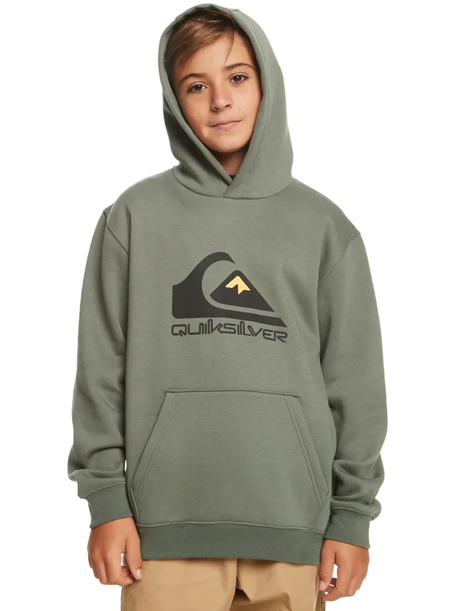 

Толстовка Quiksilver с капюшоном "Big Logo", цвет Laurel Wreath