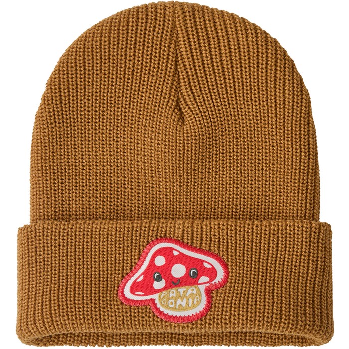 

Шапочка с логотипом - детская Patagonia, Amanita Rita Patch/Talon Gold
