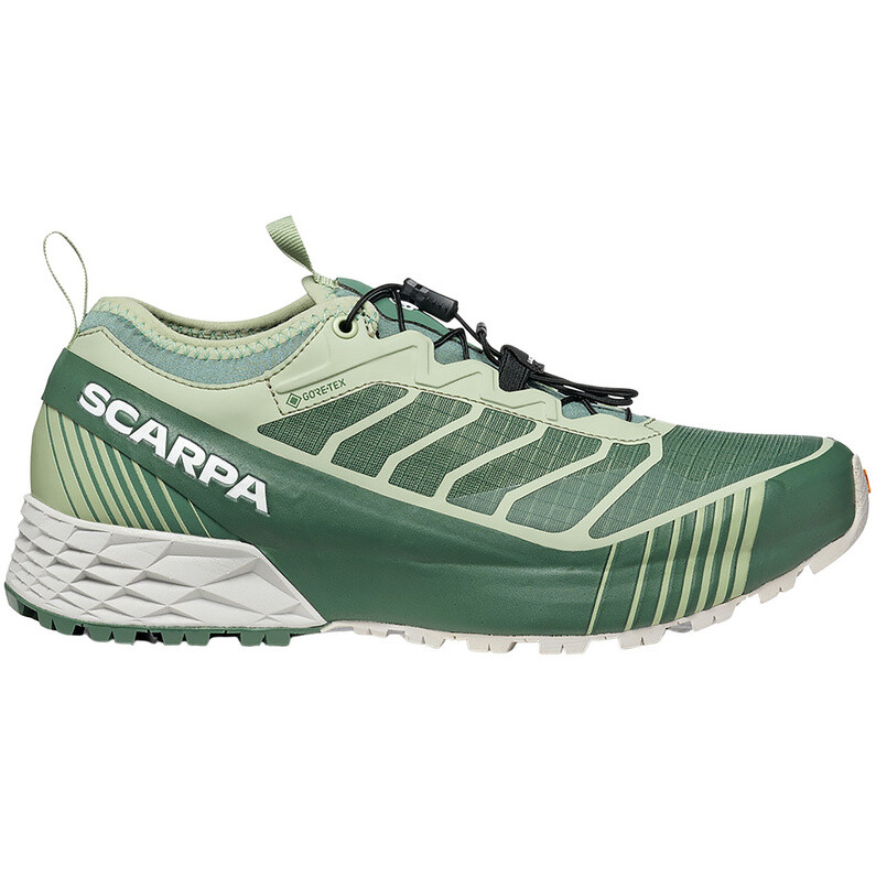 

Женские туфли Ribelle Run GTX Scarpa, зеленый