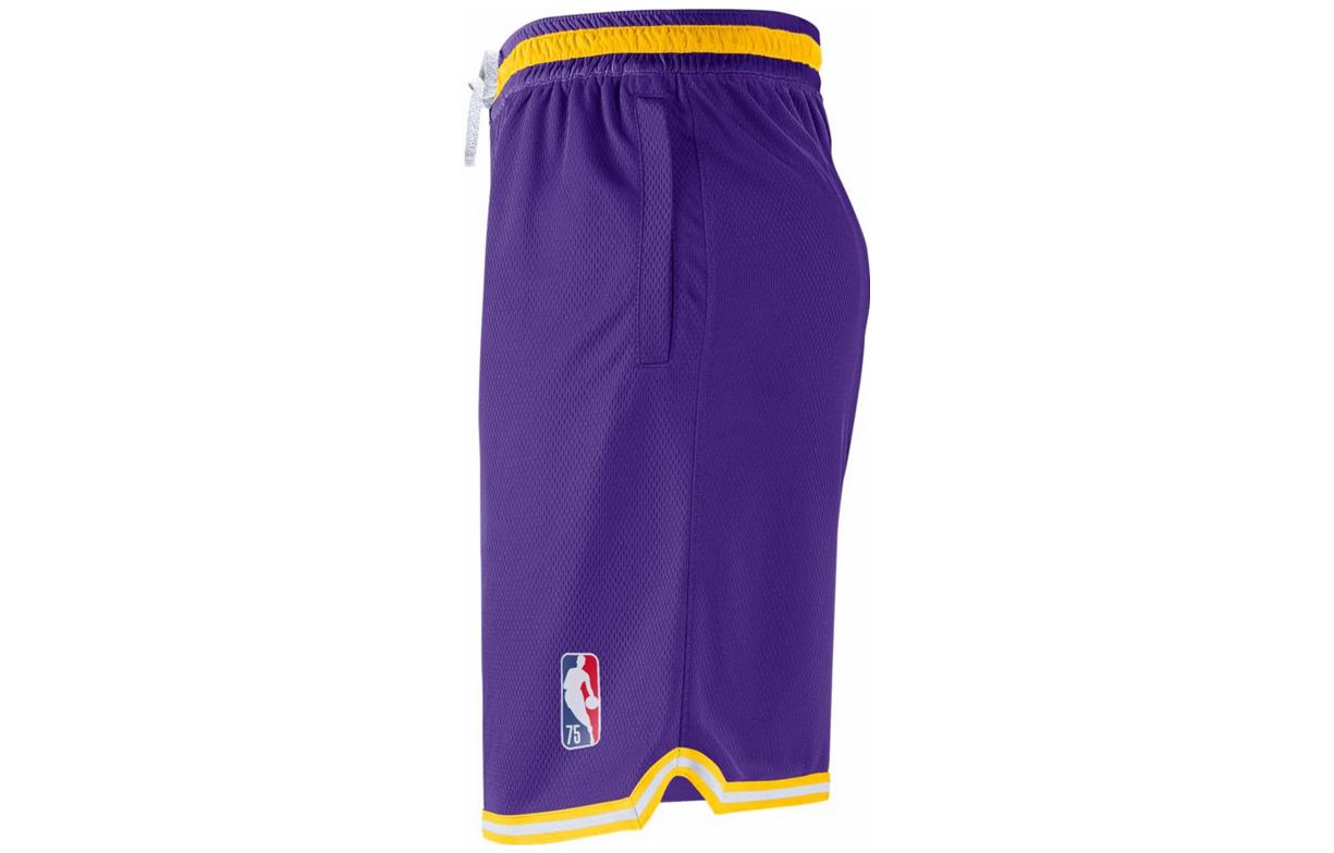 Шорты Nike Retro Basketball Shorts Los Angeles Lakers Purple DB1802-504 — фото 3
