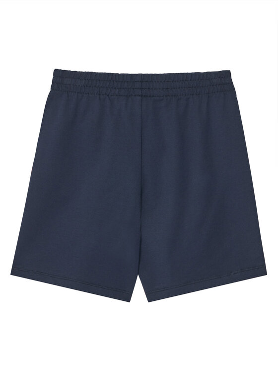Спортивные шорты regular fit 7B000026 AF10380 UB102 Ea7 Emporio Armani, синий — фото 2