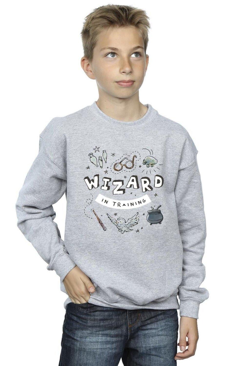 

Толстовка Wizard In Training Harry Potter, серый