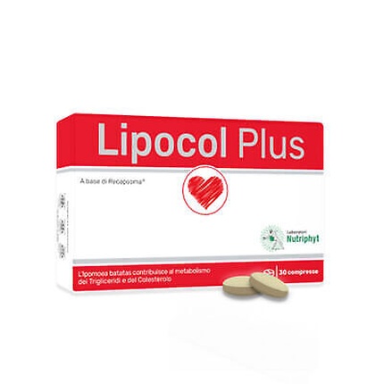 

Пищевая добавка Lipocol Plus 30 таблеток Anvest Health Srl