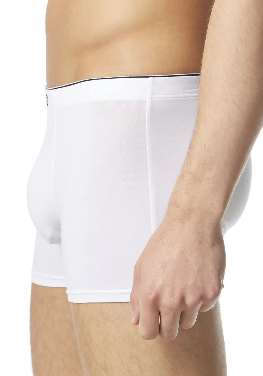 Боксеры Bruno Banani Short Infinity с поясом с контрастным логотипом, белый — фото 3
