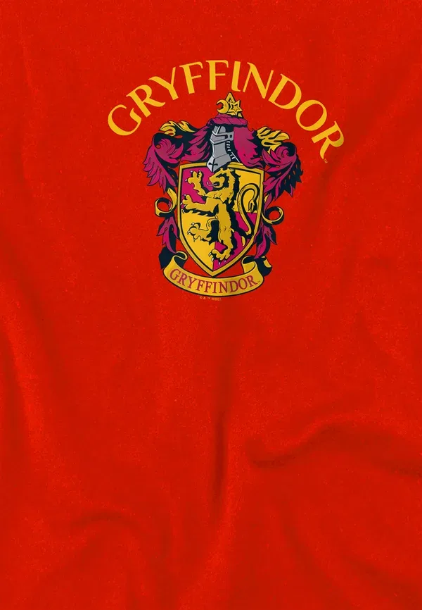 Футболка Harry Potter Gryffindor Arch Crest Print T-Shirt Cotton Soul, красный — фото 3