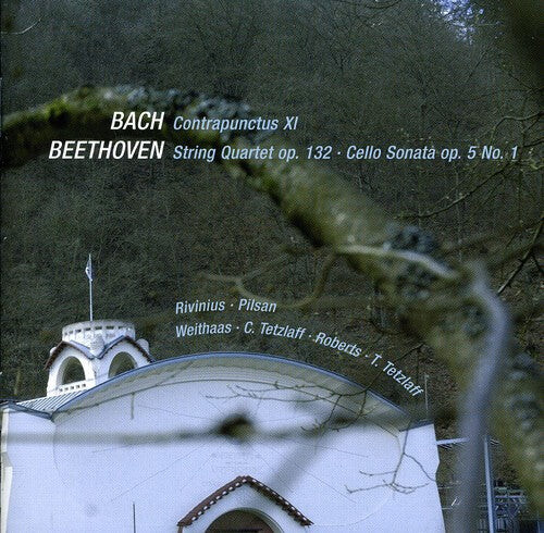 

CD диск Beethoven / Bach, J.S. / Tetzlaff / Weithaas: Chamber Works