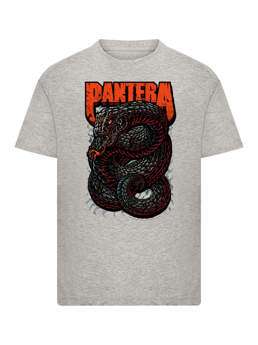 

Рубашка F4NT4STIC Pantera Venomous Snake, пятнистый серый
