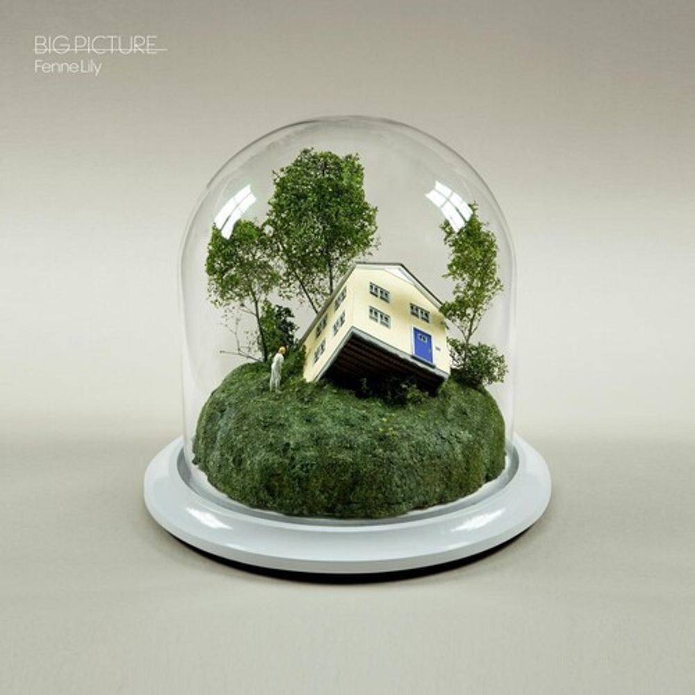 

Диск CD Big Picture - Fenne Lily