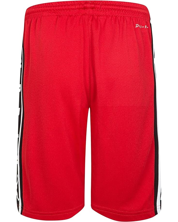 

Шорты Jordan Jordan Dri-FIT Shorts, цвет Gym Red