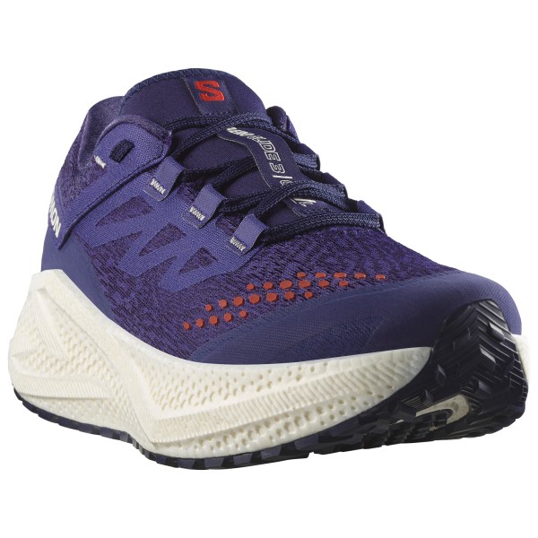 

Aero glide 3 grvl - кроссовки для бега Salomon, мультиколор