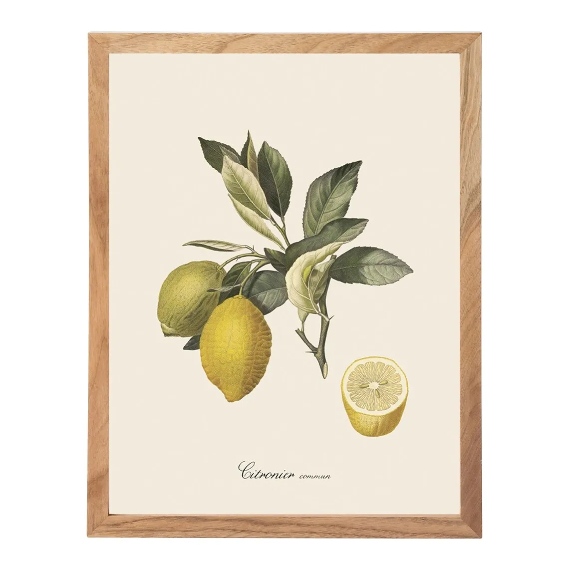

Набор листов Dybahl Lemons + Marco Thor El Corte Inglés, естественный