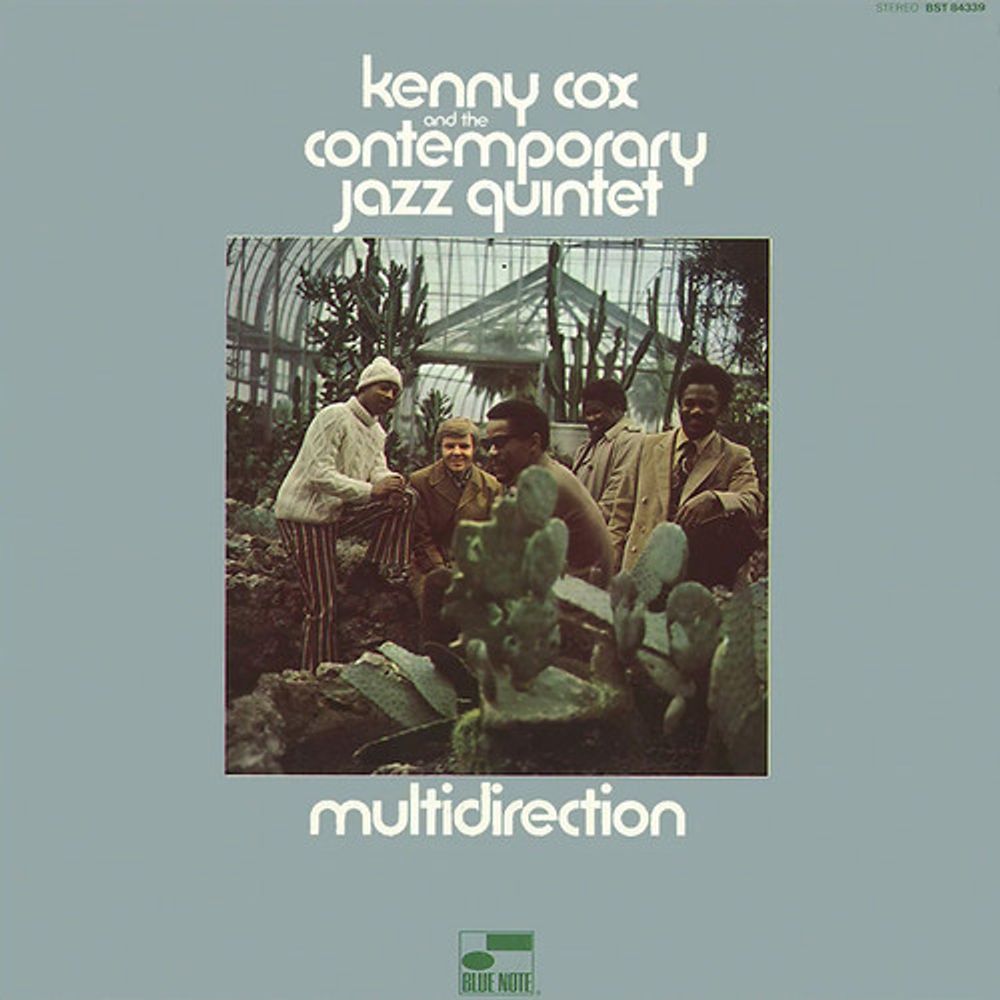 

Виниловая пластинка LP Multidirection [180 Gram Coke Bottle Clear Vinyl] - Kenny Cox