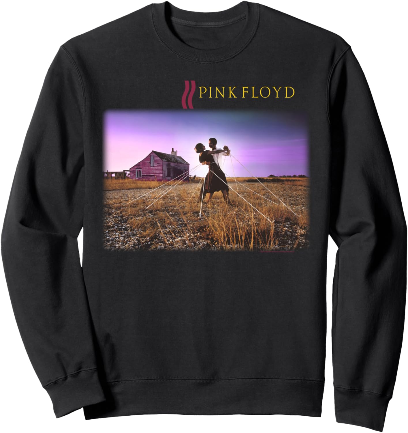 

Толстовка с изображением коллекции потрясающих танцевальных песен Pink Floyd, черный