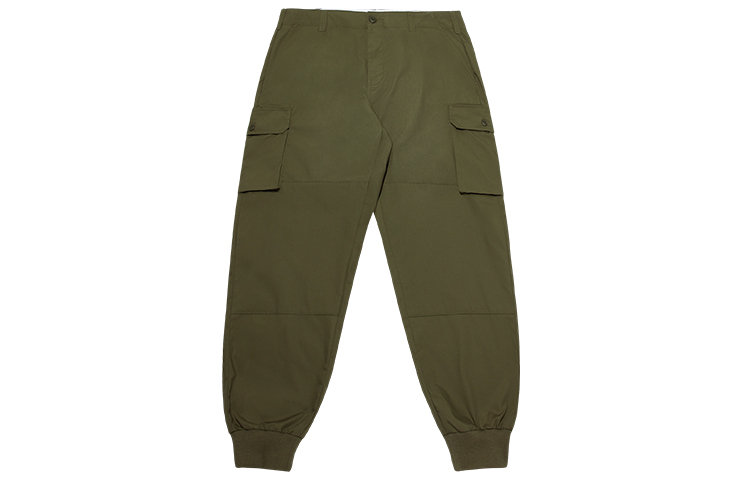 

Брюки-карго унисекс Dickies, цвет Army Green