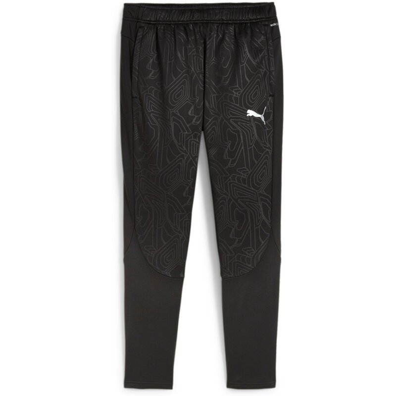 

Теплые штаны Sporthose teamfinal Puma, серебряный