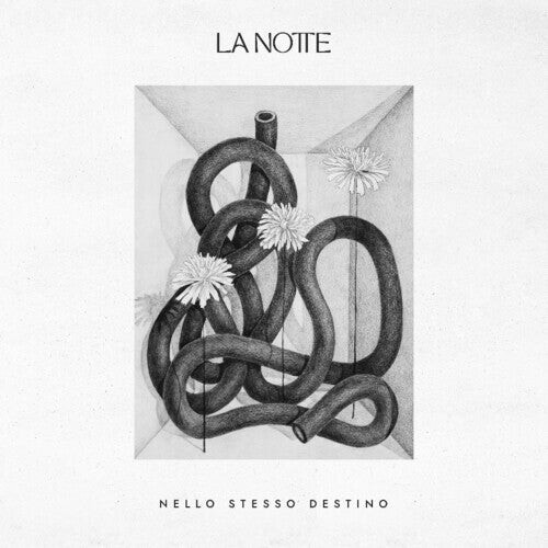 

CD диск La Notte: Nello Stesso Destino