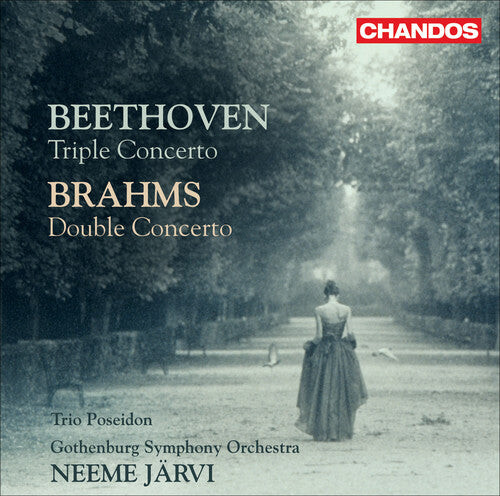 

CD диск Beethoven / Brahms / Gso / Jarvi: Triple Concerto / Double Concerto