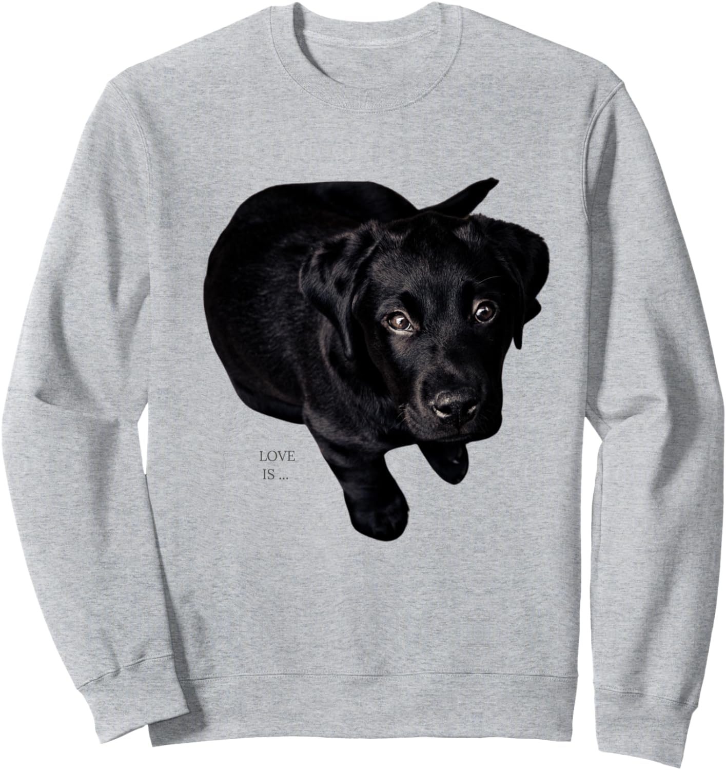 

Толстовка с изображением черного лабрадора-ретривера, толстовка шоколадного цвета для мамы и папы лабрадора Labrador Retriever Shirts And Gifts, Черный, Толстовка с изображением черного лабрадора-ретривера, толстовка шоколадного цвета для мамы и папы лабр