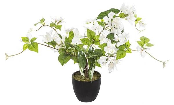 

Декоративное растение Atmosphera Créateur d'intérieur Bougainvillea BOUGAIN, белый