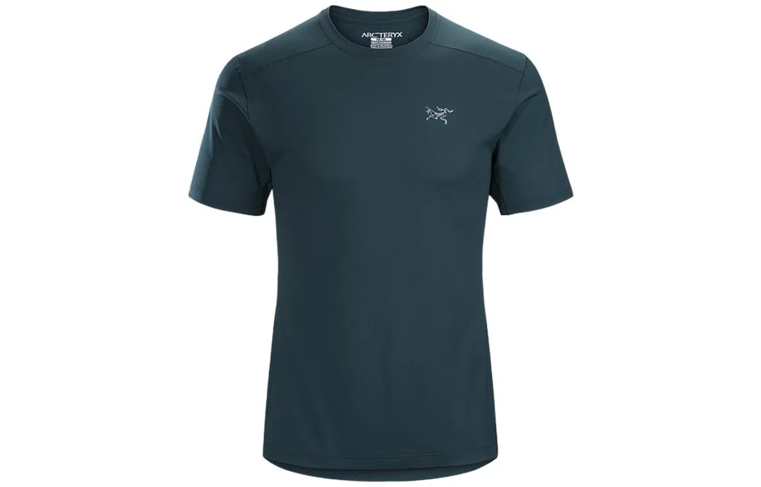 Футболка мужская с круглым вырезом Arcteryx REMIGE Jasper/Labyrinth