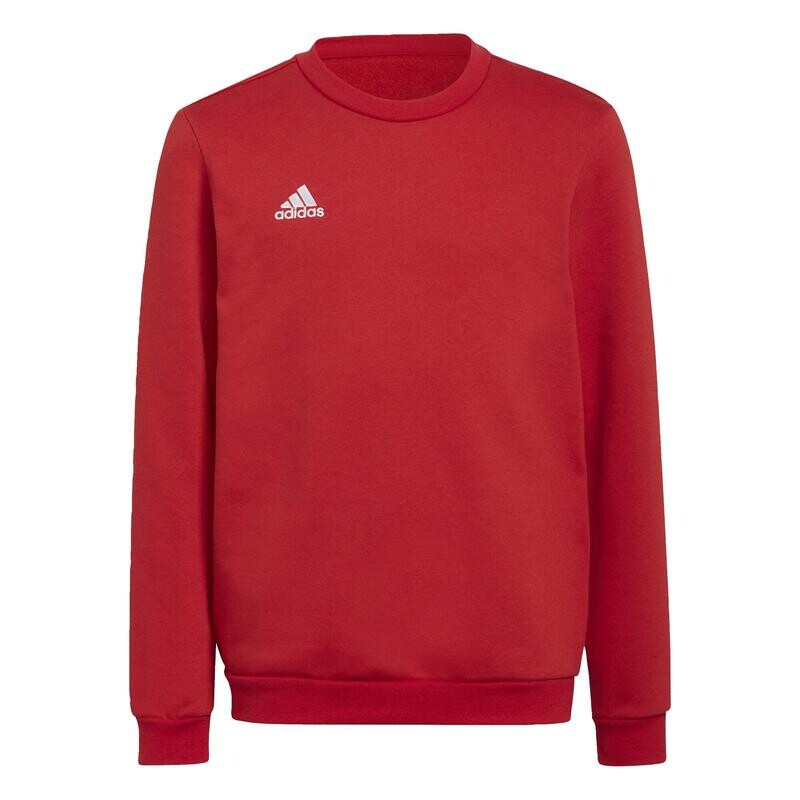 

толстовка Entrada 22 ADIDAS, цвет rot