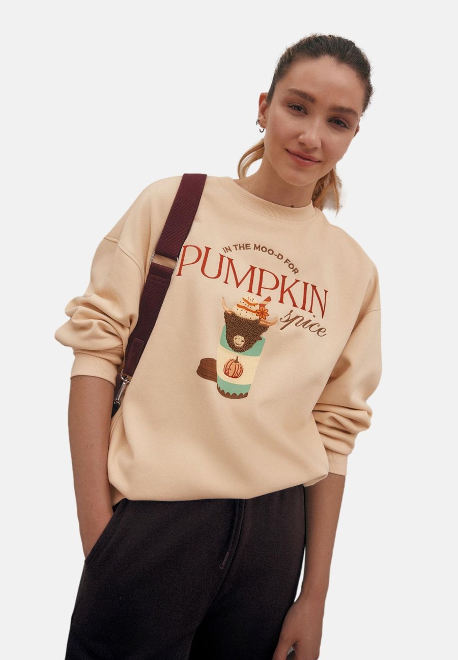 

Толстовка Next RELAXED FIT HAMISH THE HIGHLAND COW AUTUMNAL PUMPKIN SPICE LATTE SEASONAL GRAPHIC WITH HEAVY DETAIL, Neutral/Beige