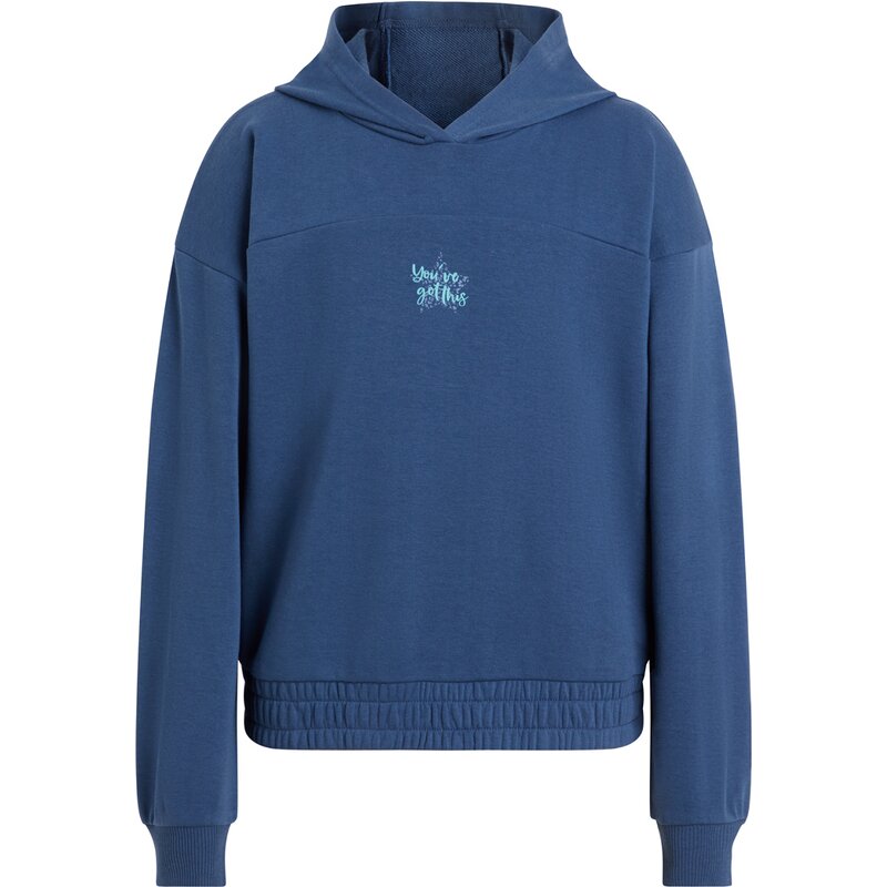 

Толстовка с капюшоном мужская-толстовка с капюшоном liv iv ft g Energetics, синий