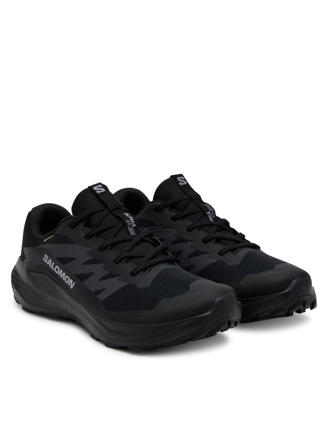 Кроссовки Alphaglide Gore-Tex L47802100 Salomon, черный — фото 2