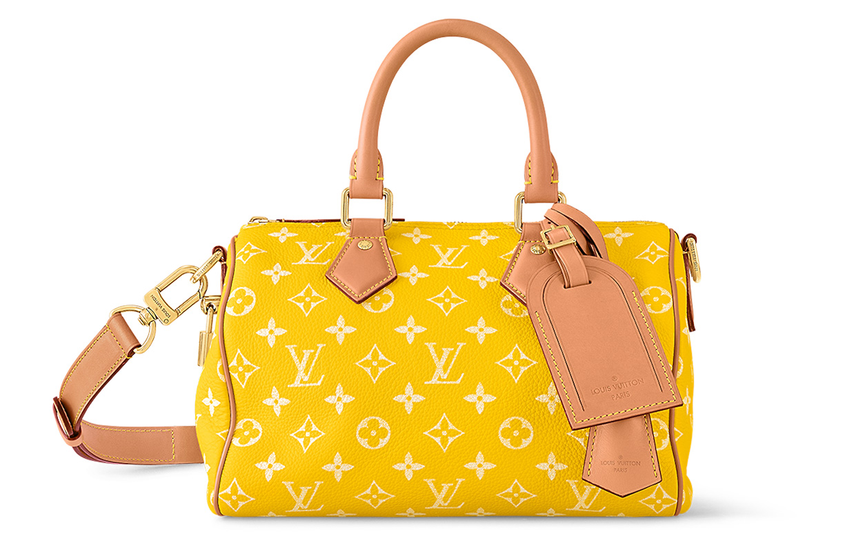 

LOUIS VUITTON Сумка