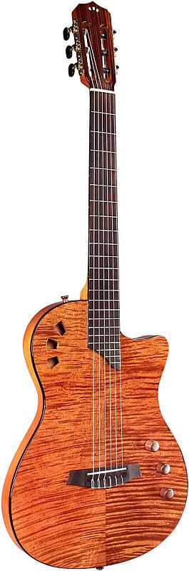 

Акустическая гитара Cordoba Stage Amber - Semi Hollow Body Nylon String Acoustic Electric - 2023