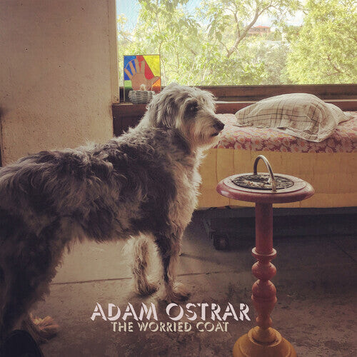 

Виниловая пластинка Ostrar, Adam: The Worried Coat