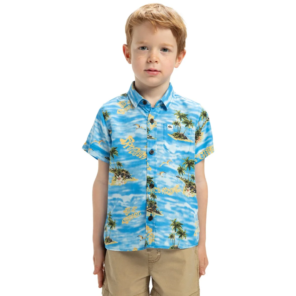 

Детская футболка Quiksilver Safe Paradise, синий