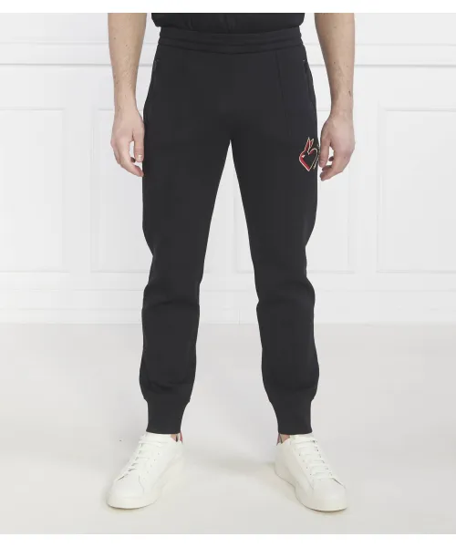 

Спортивные штаны Regular fit Emporio Armani, черный