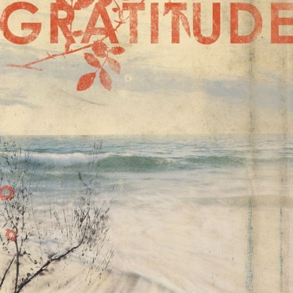 

Диск CD Gratitude - Gratitude